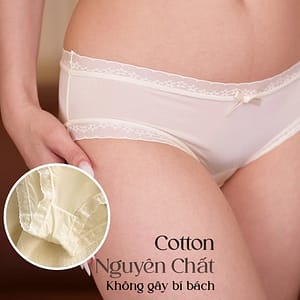 quan-lot-nu-cotton-chery-blovelan